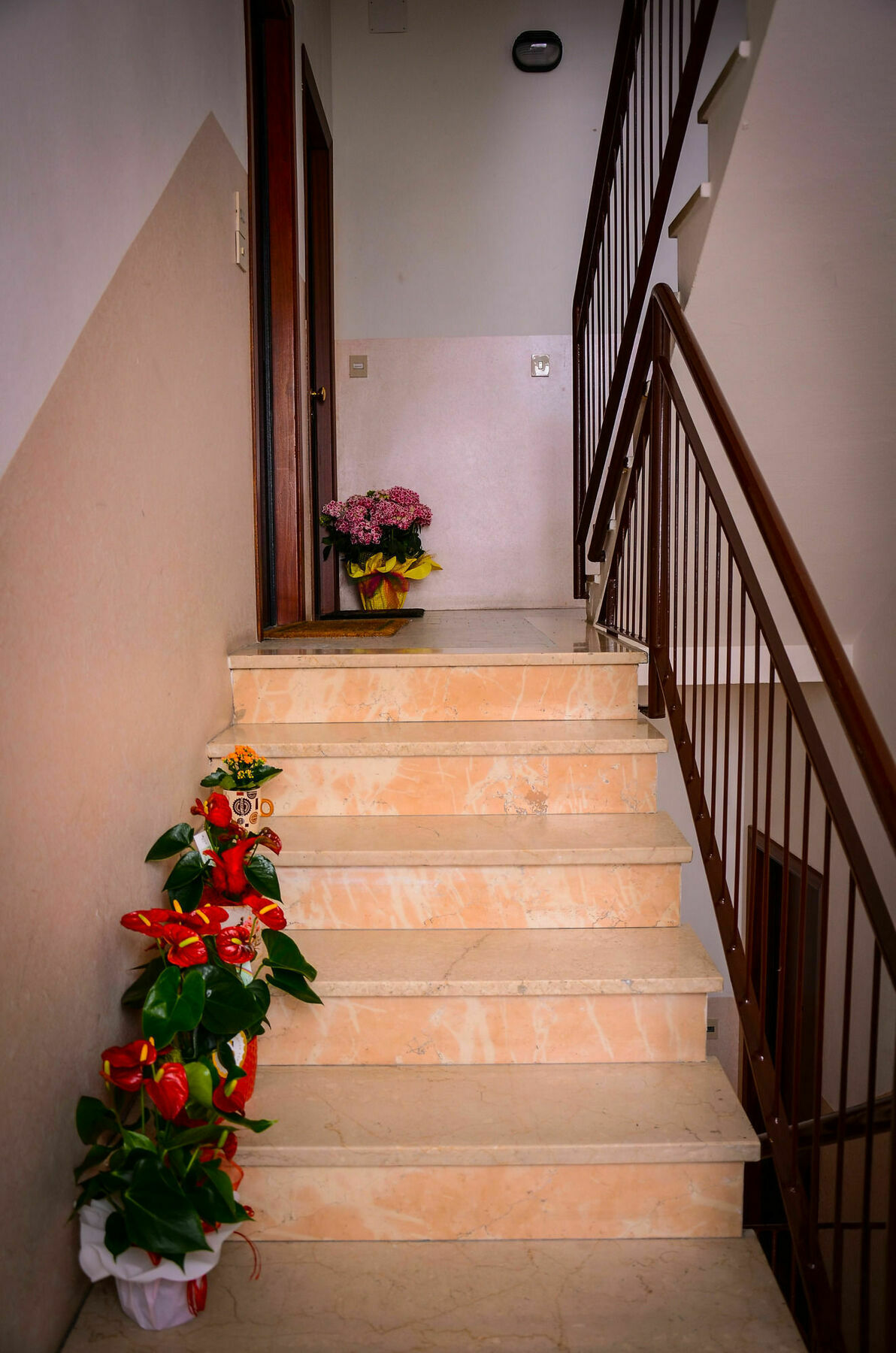 Il Piccolo Piacenza Otel Dış mekan fotoğraf